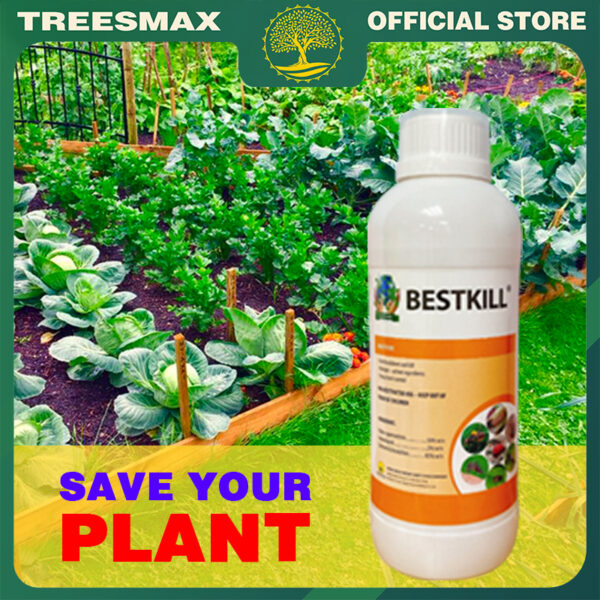 Organic Pesticides from Neem Oil - Bestkill