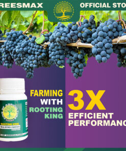 New generation fertilizer - Rooting King root booster powder.