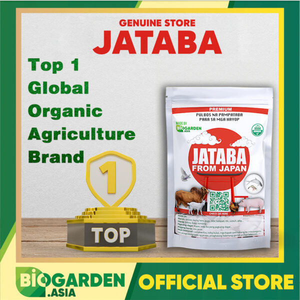 Jataba Probiotics - Premium Weight Gain Powder para sa Livestock - Poultry - Aquatic at Marine