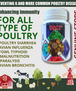 VACI (100Grams) - Poultry Immunity Booster, Preventing 6 Common Chicken Diseases