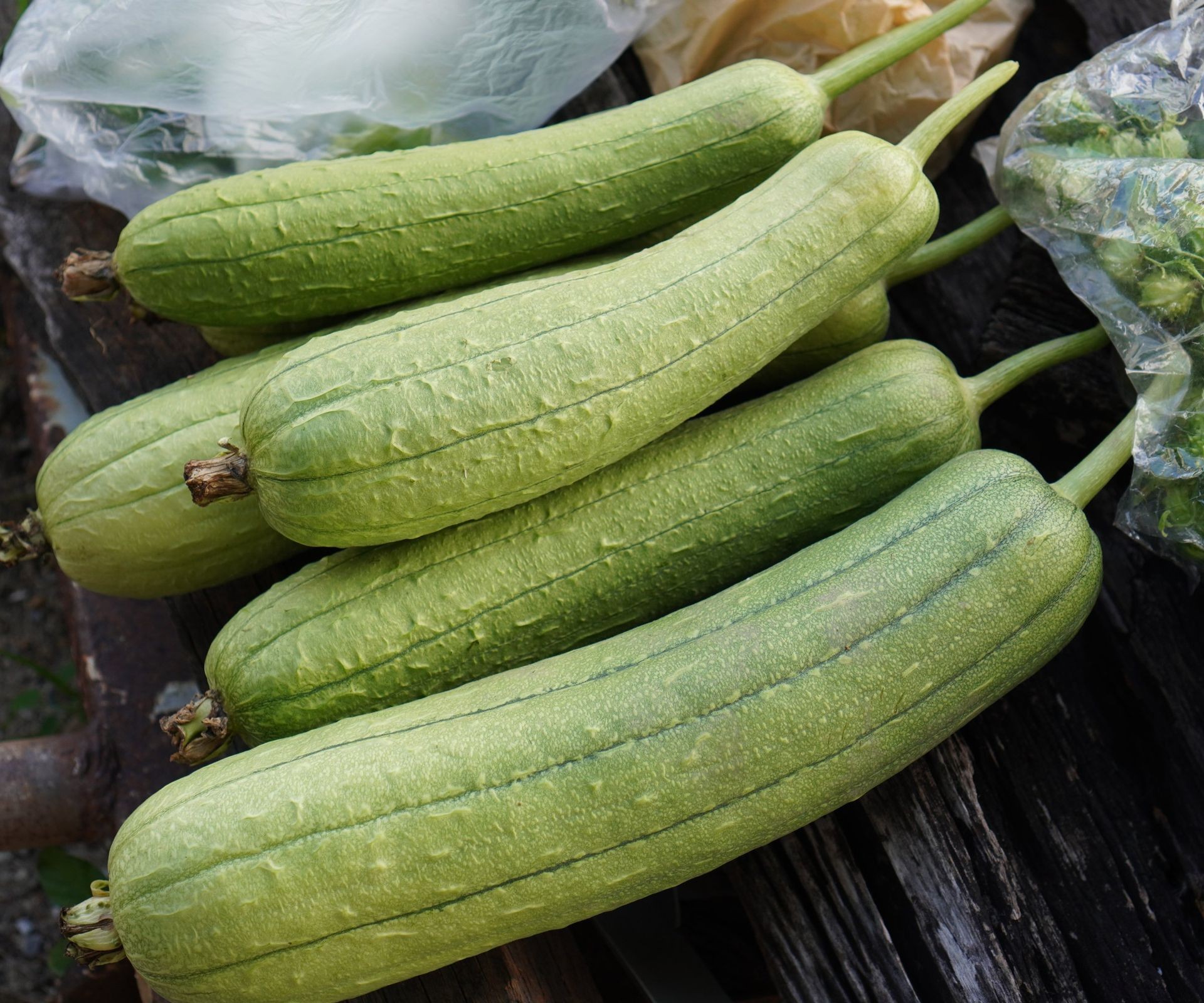 A collection of fibrous luffa gourds