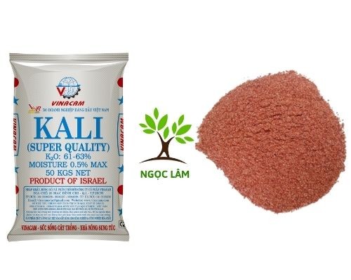 A hand holding a small amount of granular potassium fertilizer over potted peach blossom plants, illustrating potassium application for accelerated bloom