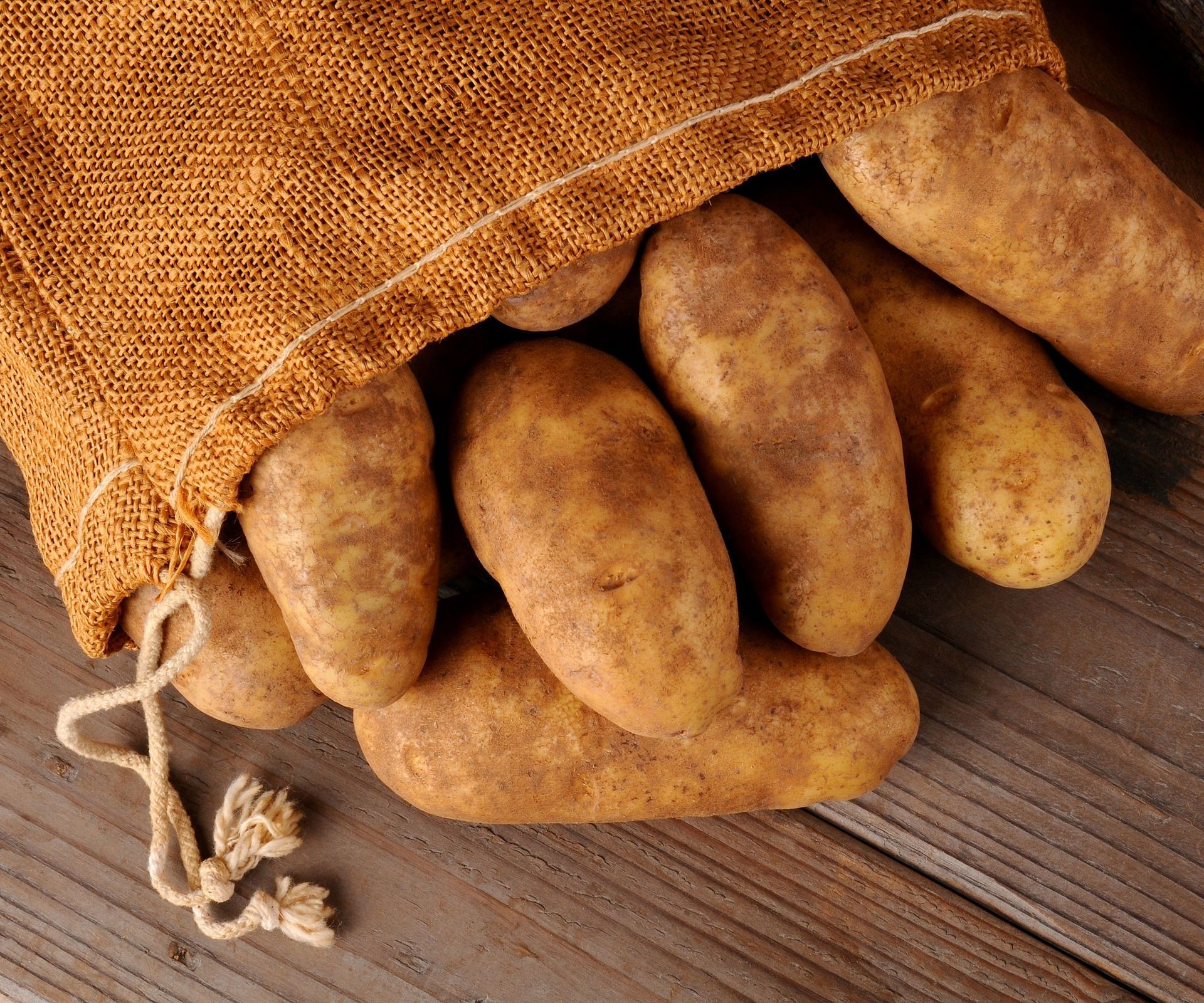 A hessian sack filled with freshly harvested Russet Burbank heirloom potatoes