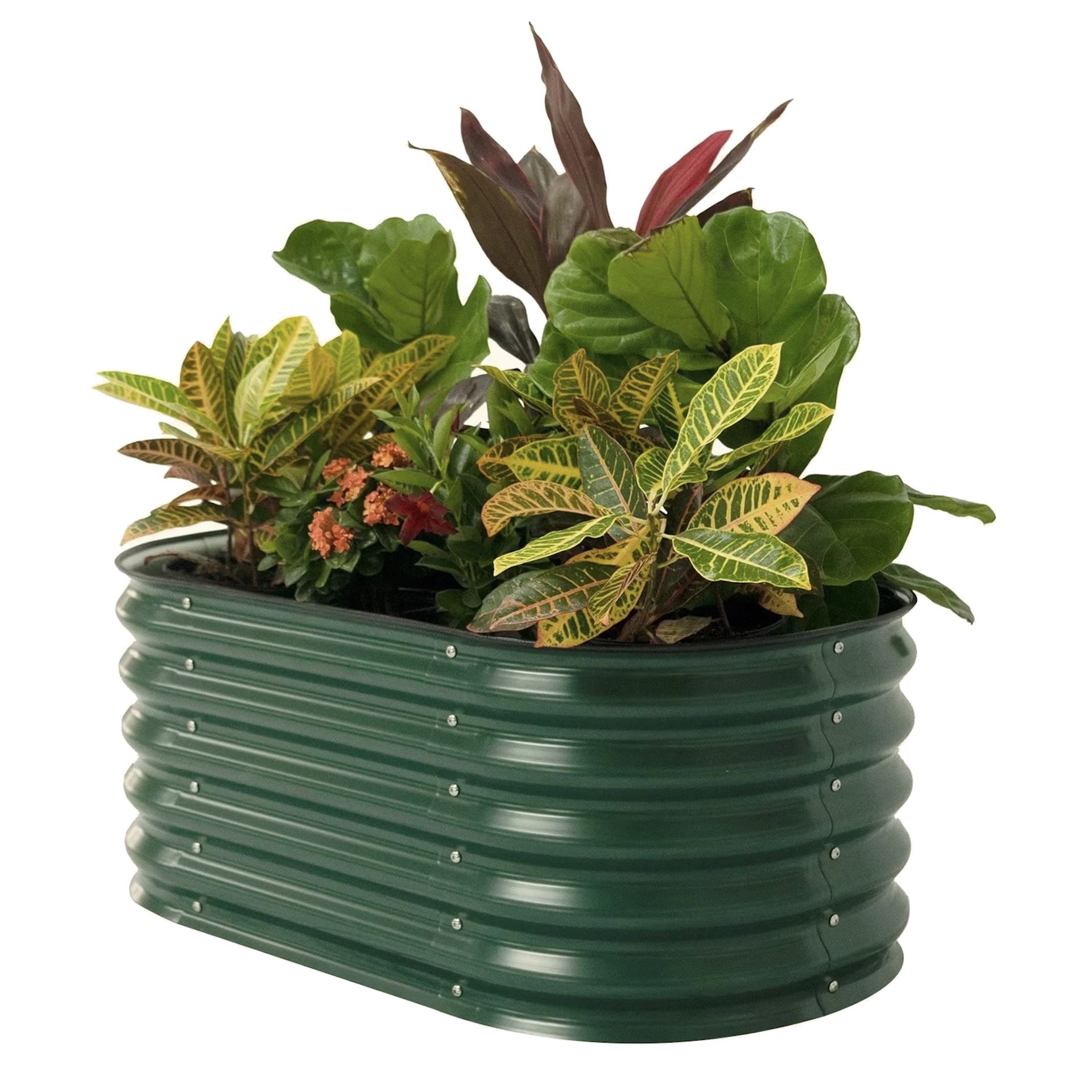 A low raised garden bed designed for children to start their gardening journey.