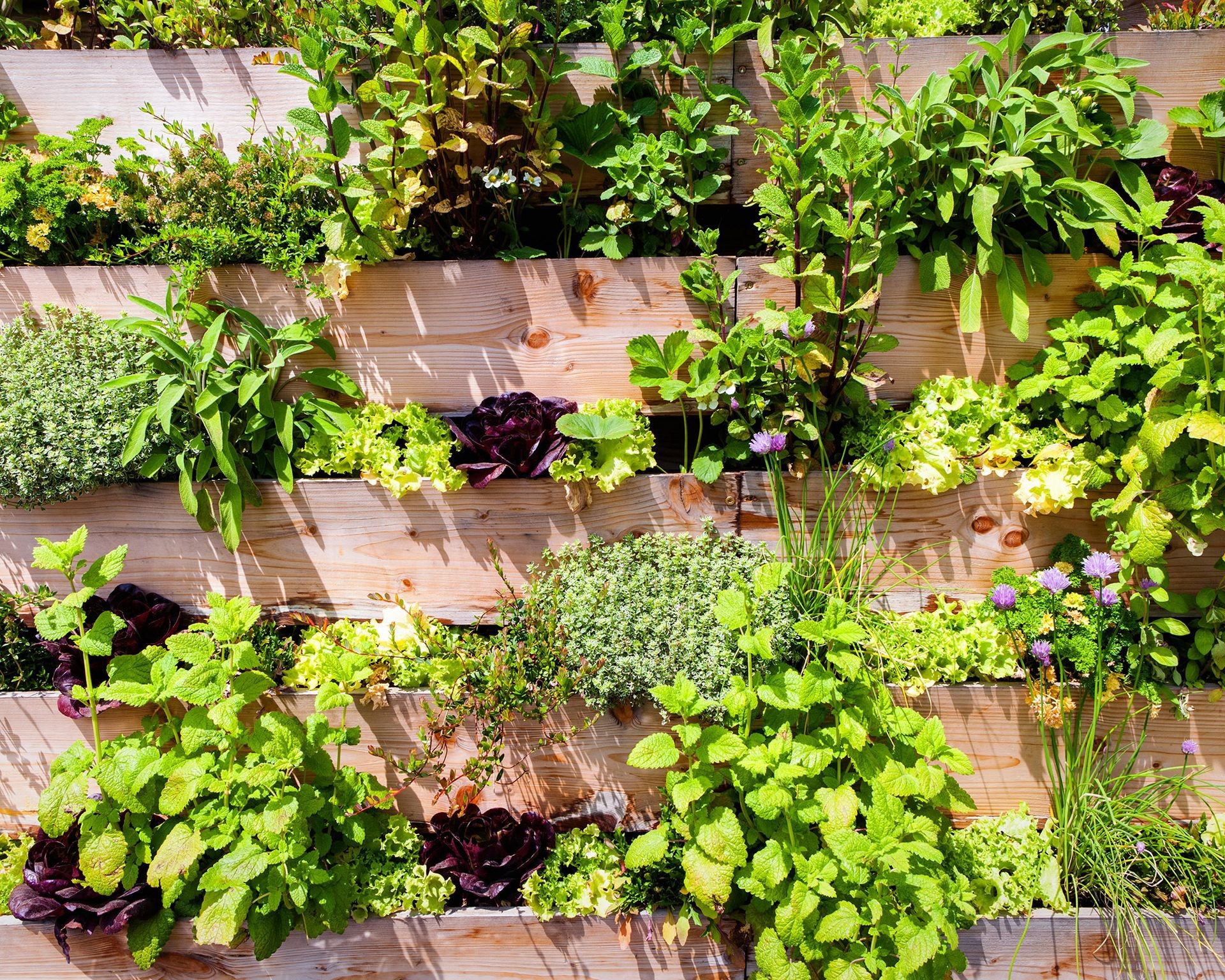 A vertical garden structure made of stacked containers or compartments is filled with various salad greens and herbs growing upwards
