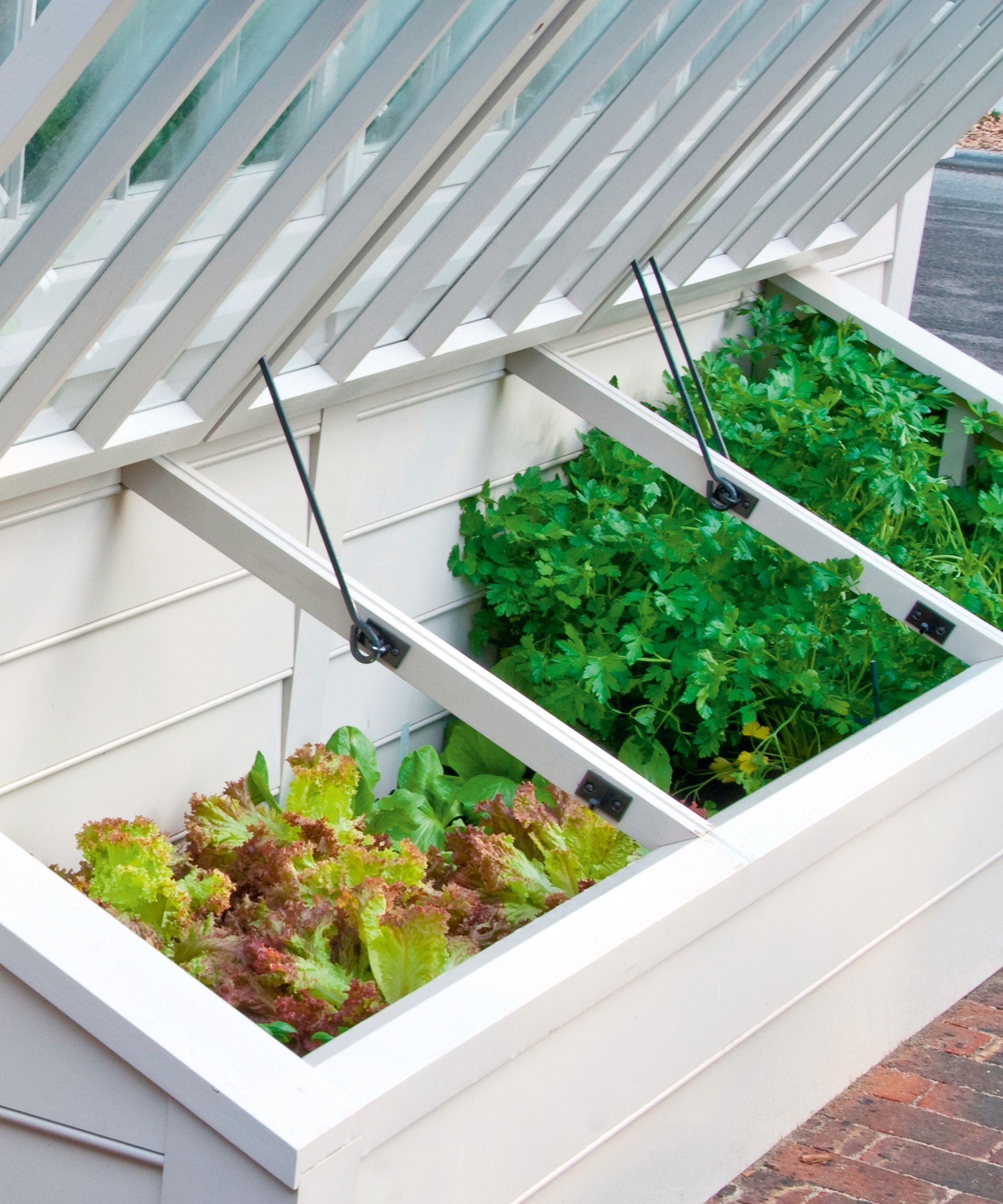 A wooden cold frame structure with a clear lid sits in a garden, protecting young salad greens and herbs planted inside