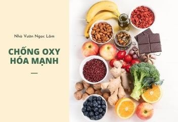 Antioxidant properties of bananas