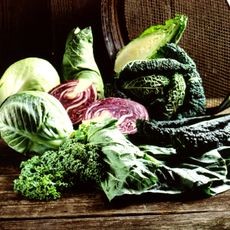 Assortment of different cabbage varieties, including green, red, and savoy types.