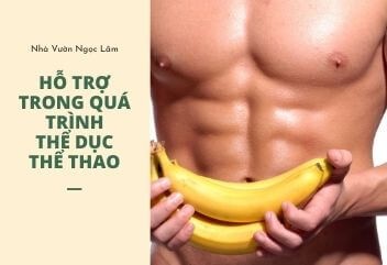 Bananas as pre-workout snack