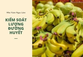 Bananas for blood sugar control