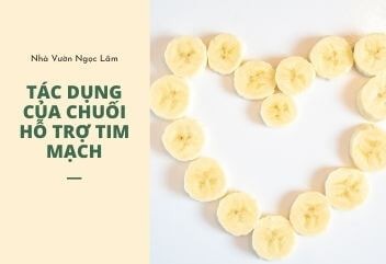 Bananas supporting heart health