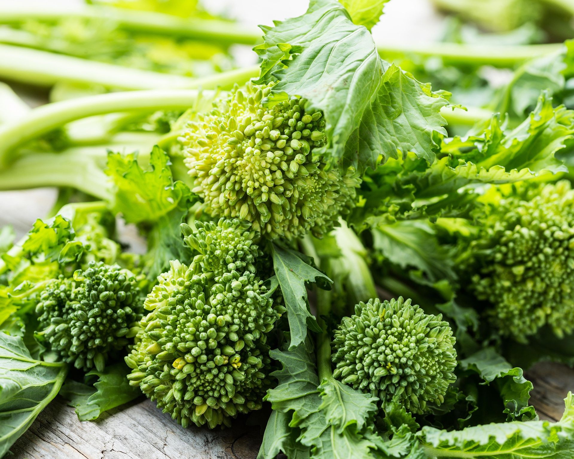 Bunches of freshly harvested Cima di Rapa (Broccoli Rabe) showing leaves, stems, and small florets