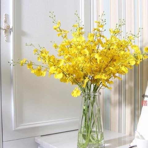 Close-up of vibrant yellow Oncidium 'Dancing Lady' orchids in bloom, showcasing their distinctive shape.
