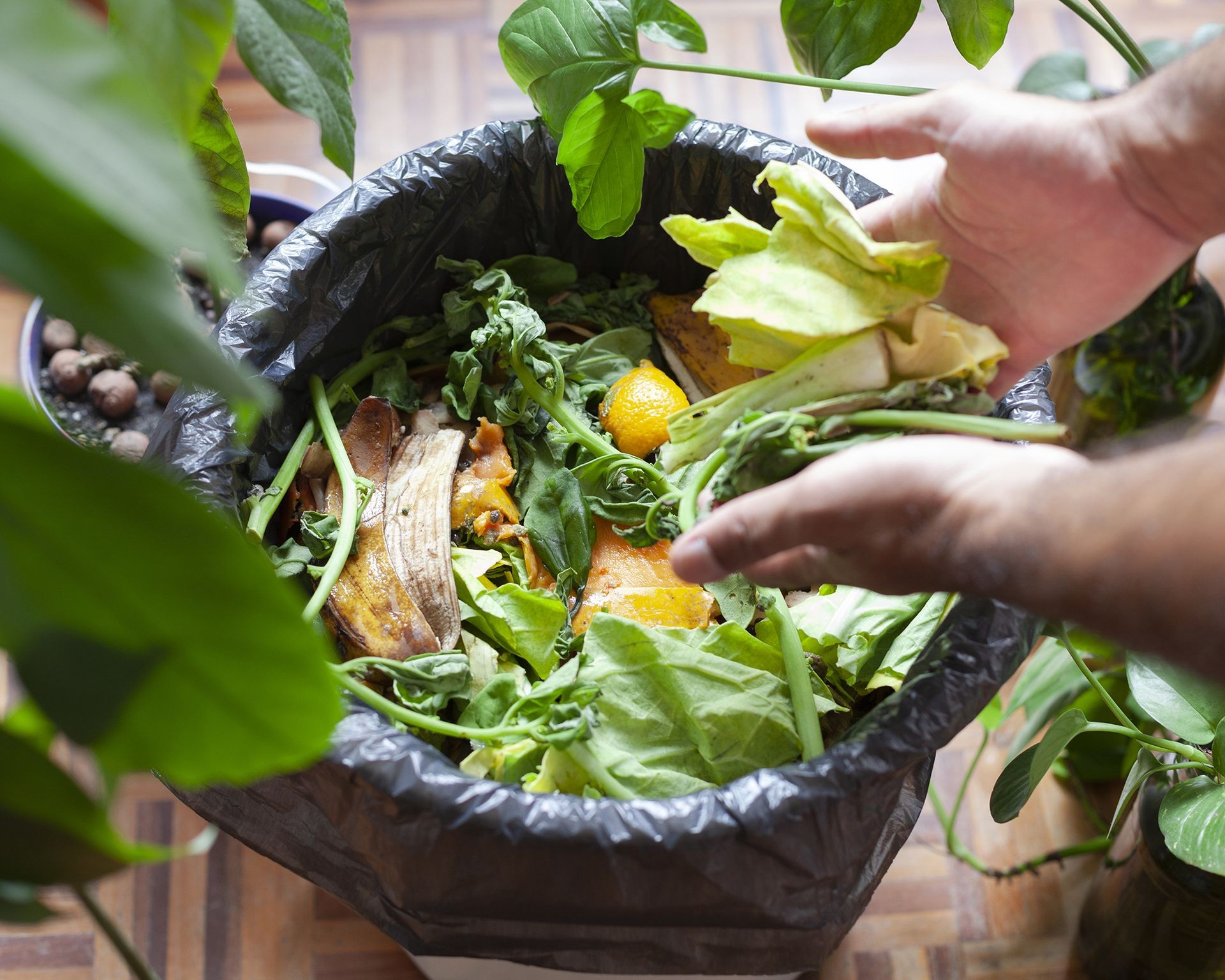 Closeup view of various kitchen scraps like vegetable peelings and fruit rinds being added to a composting bin, showing materials perfect for homemade plant fertilizer.