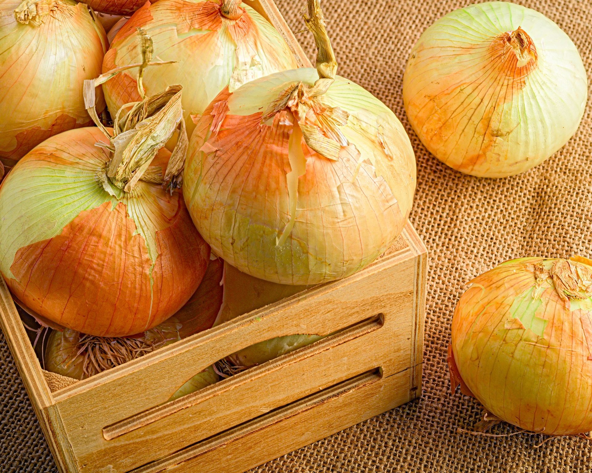 Cured onions stored in an open wooden crate allowing for airflow
