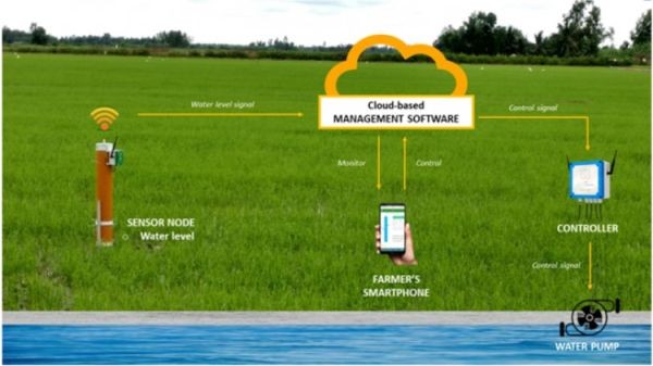 Diagram showing the architecture of an IoT system for smart agricultural irrigation, connecting sensors to cloud management and mobile control.