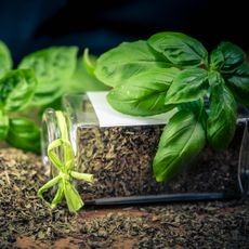 Fresh basil leaves next to a jar of dried basil, illustrating the process of preserving herbs.