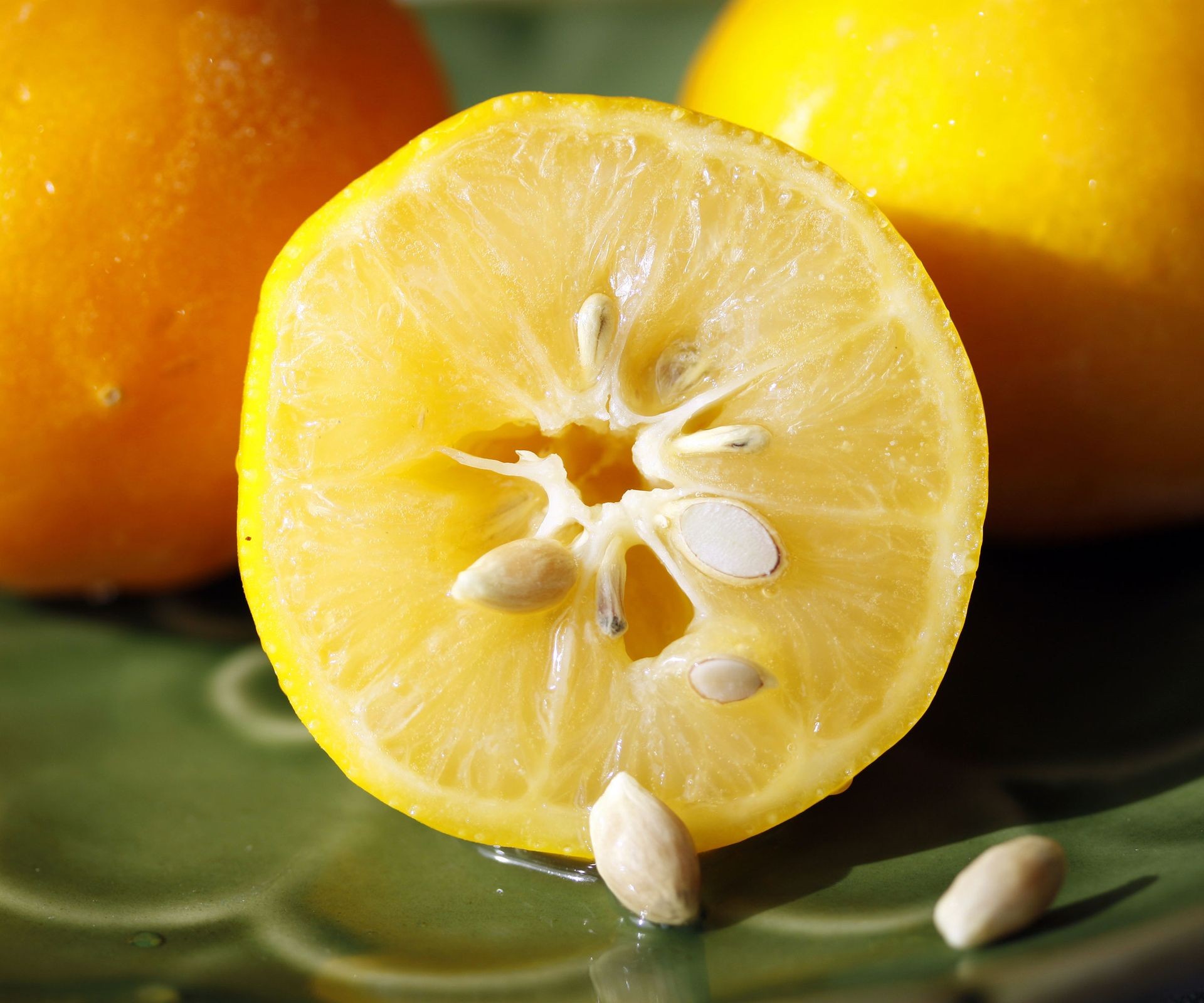 Fresh lemon sliced open showing seeds for planting