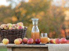Freshly harvested apples and homemade apple cider on an outdoor table