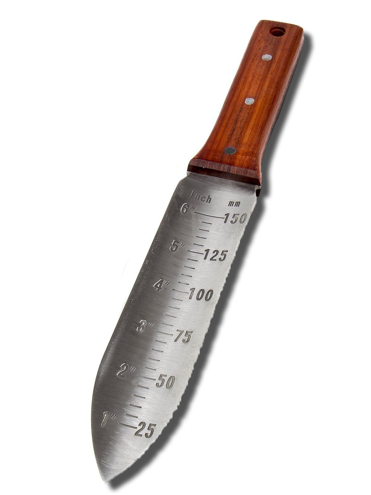 Gardener holding a useful garden knife for harvesting rhubarb stalks.