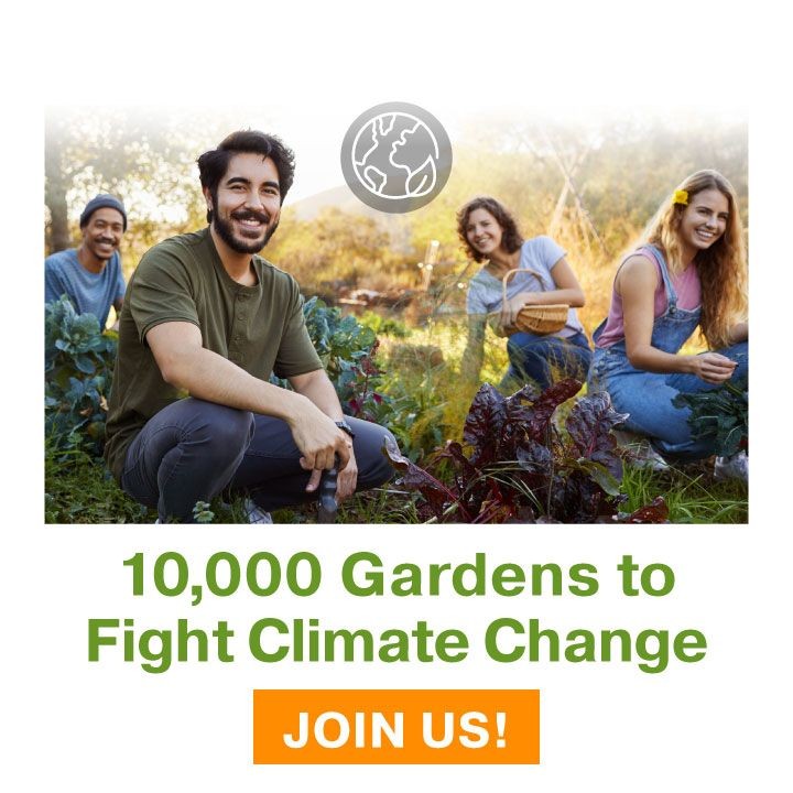 Group of happy gardeners working together, symbolizing community and growth in propagation.