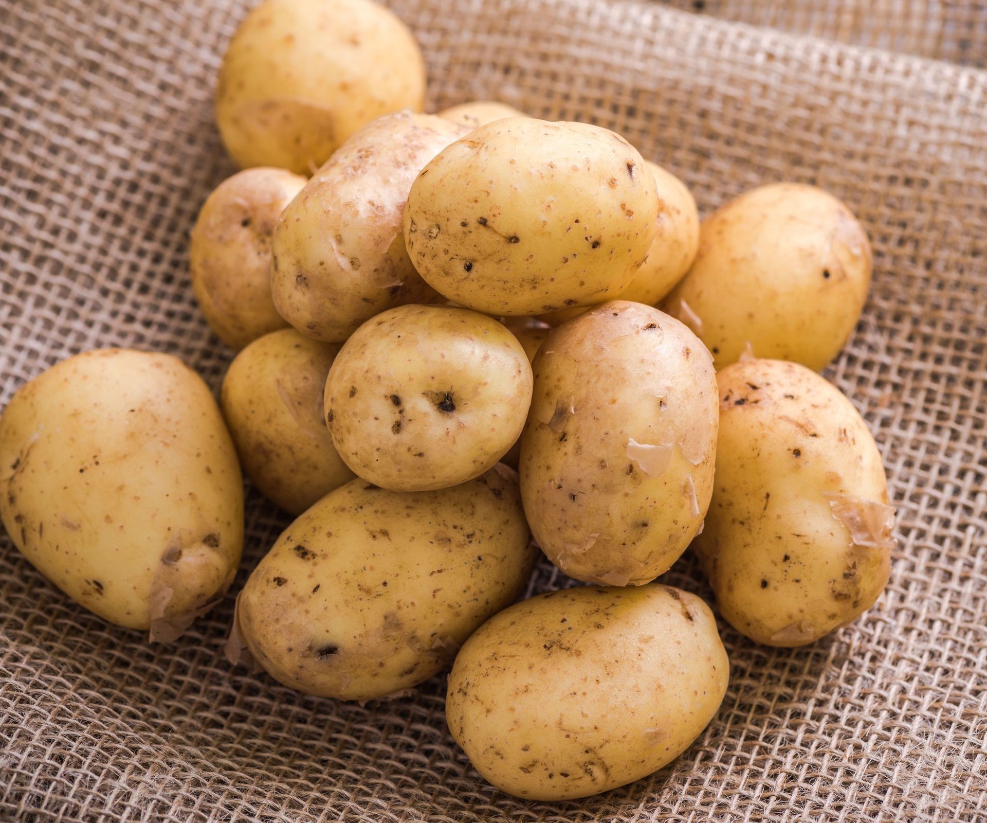 Group of harvested Early Ohio heirloom potatoes with light tan skin
