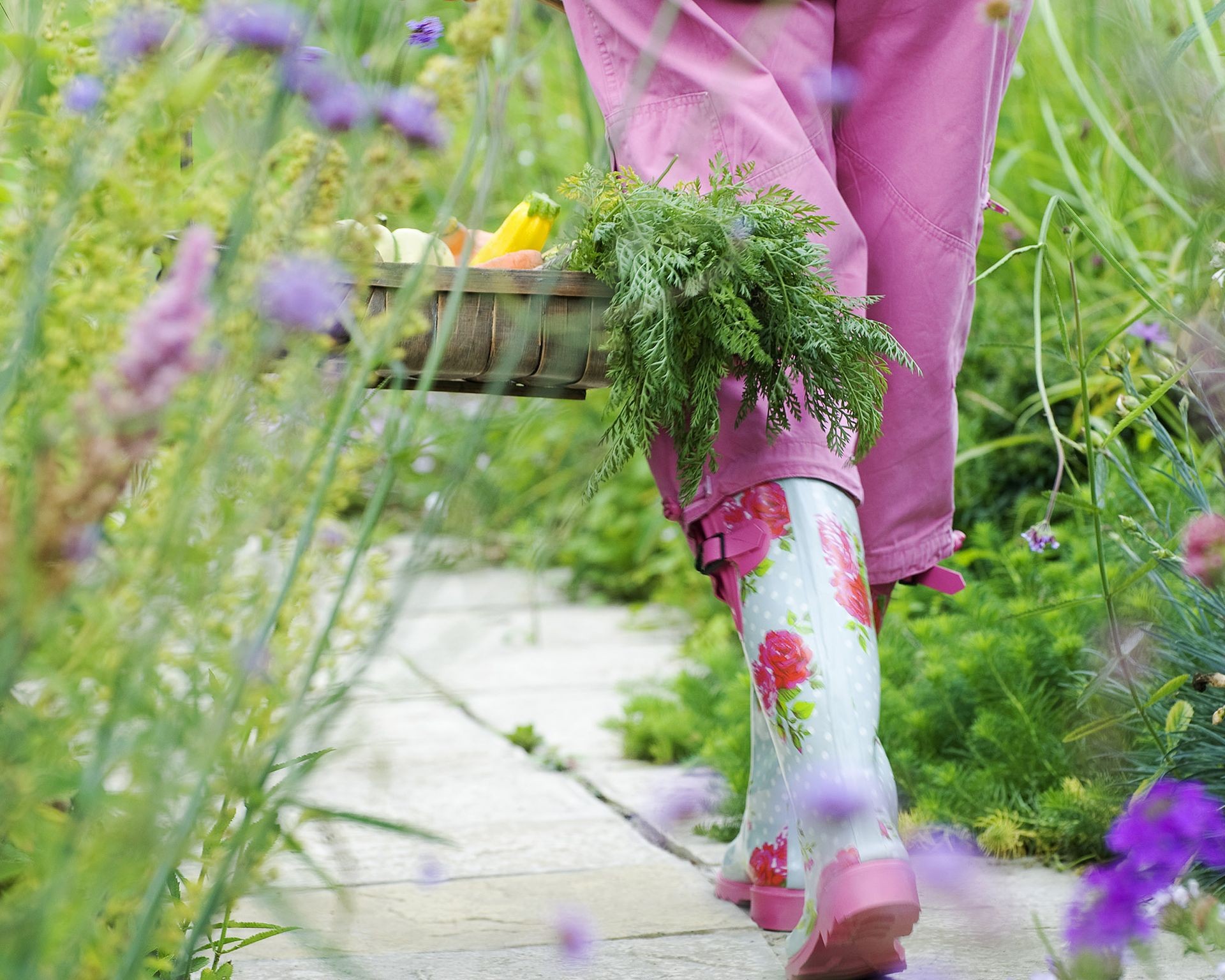 Happy gardener carrying a trug filled with freshly harvested vegetables through a sunny garden