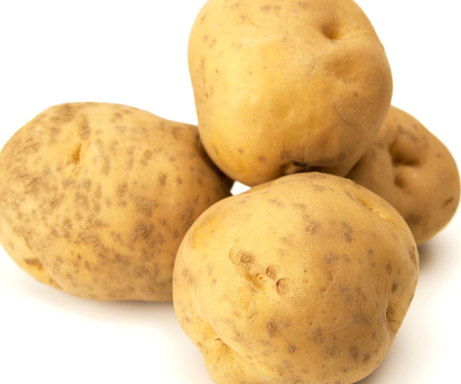 Harvested Irish Cobbler heirloom potatoes displayed in a garden setting