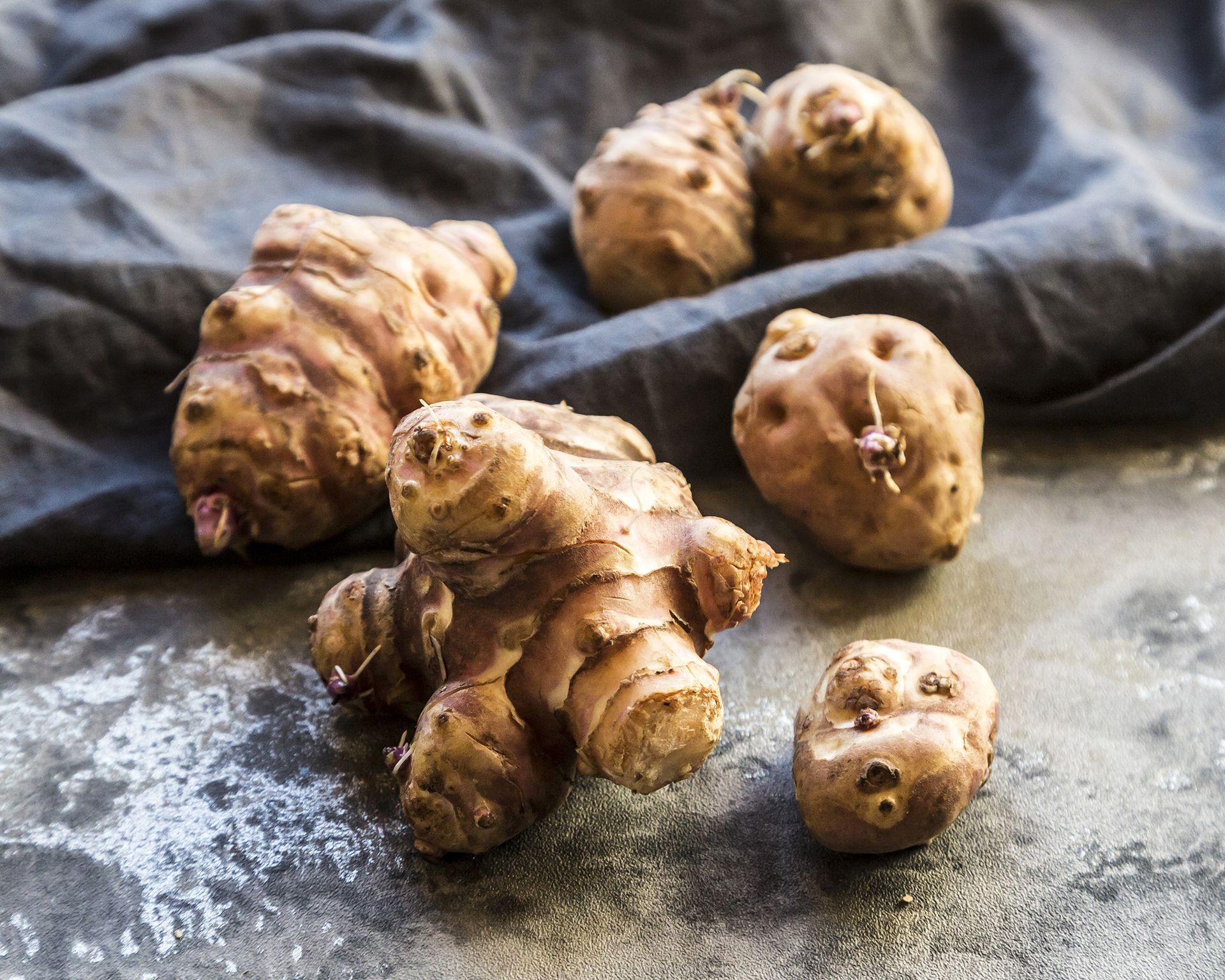 Harvested Jerusalem artichoke tubers ready for cooking