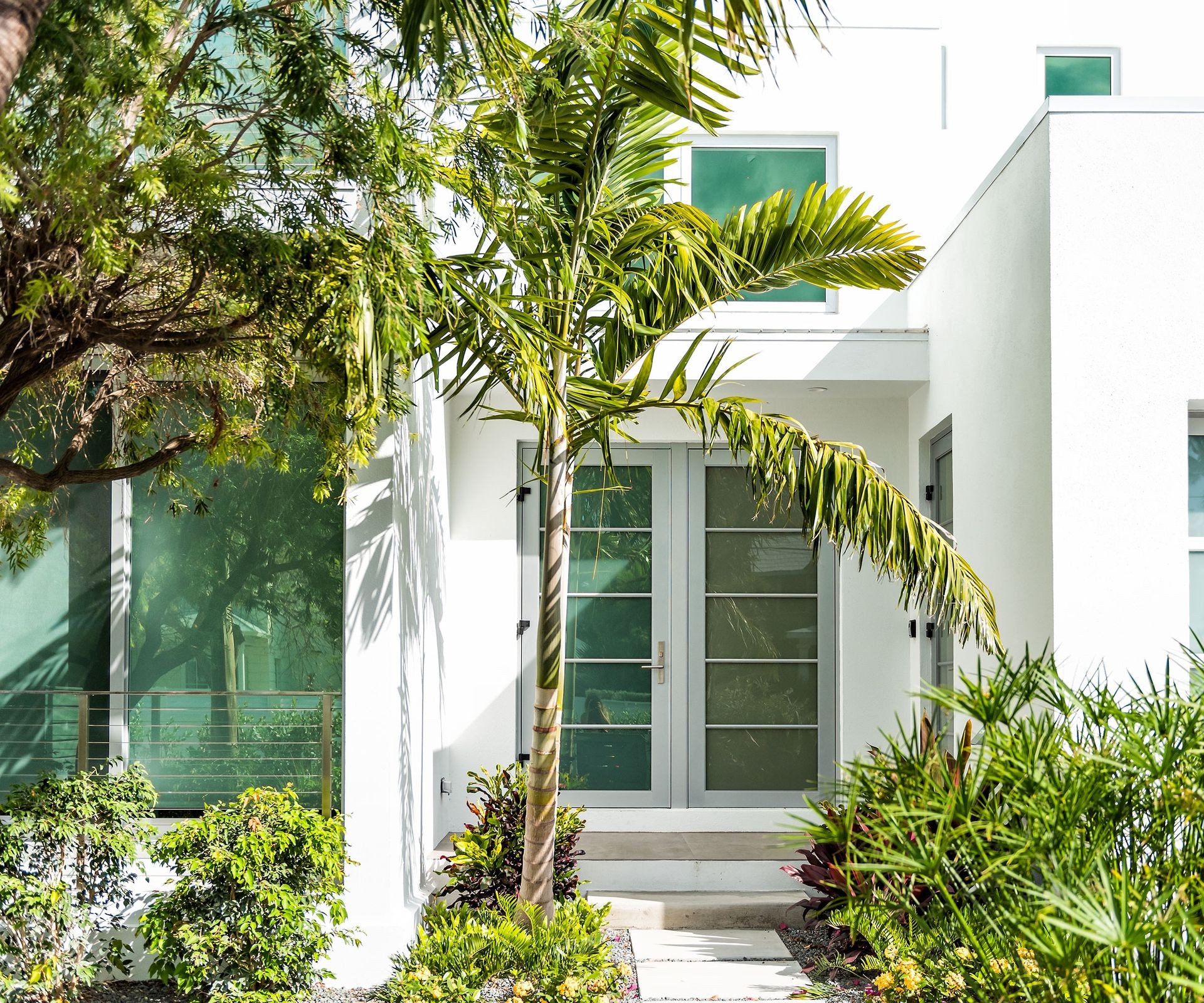 Healthy date palm tree thriving in a spacious garden setting with a house in the background
