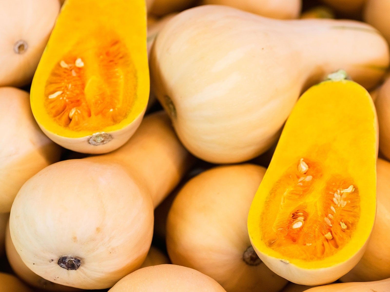Honeynut squash halved showing sweet orange flesh - a best tasting variety
