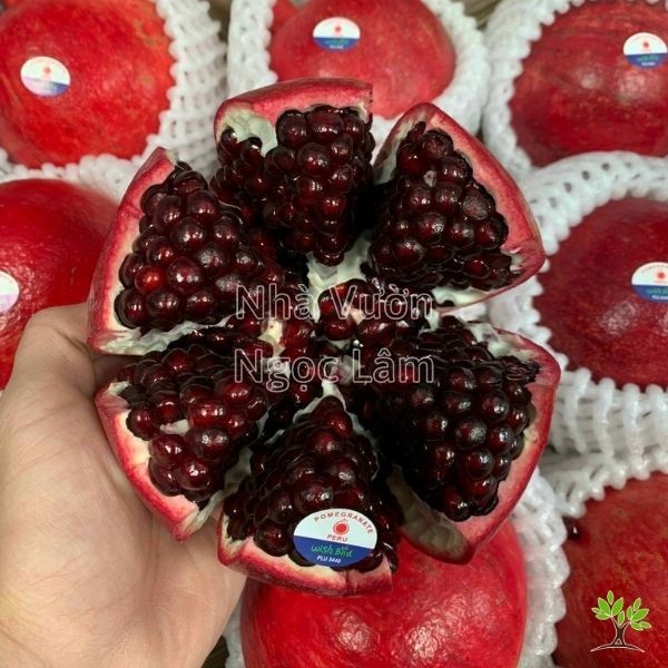 Juicy red arils of a ripe Peruvian pomegranate fruit