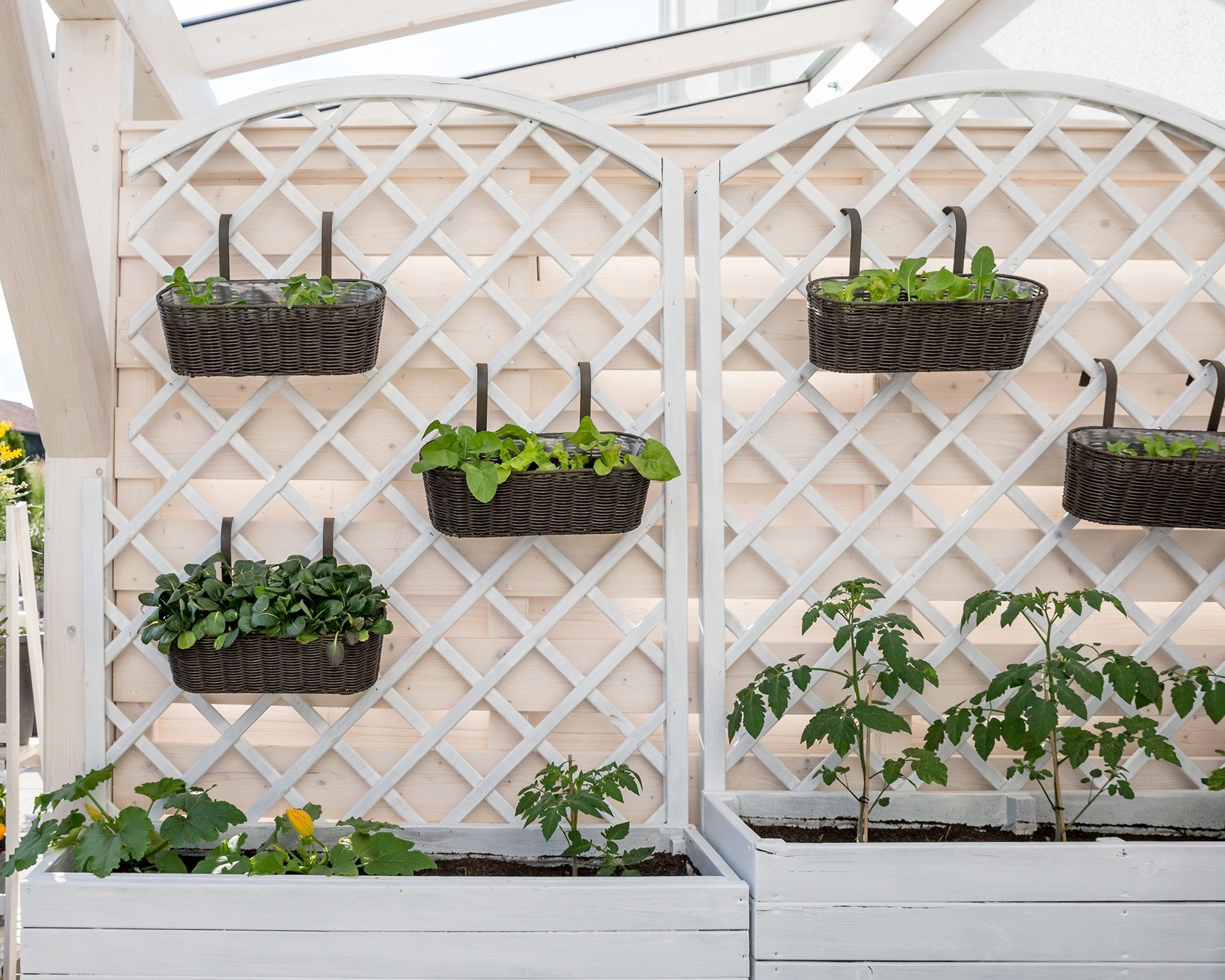 Mini planting baskets containing salad greens and herbs hung directly onto a garden trellis wall, utilizing vertical space.