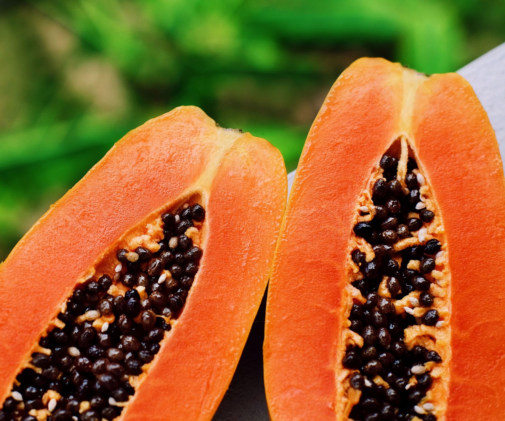 papaya fruit freshly harvested