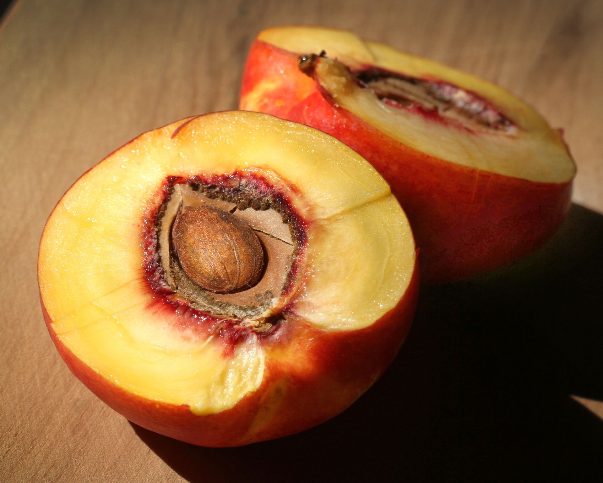 Peach seed extracted from pit