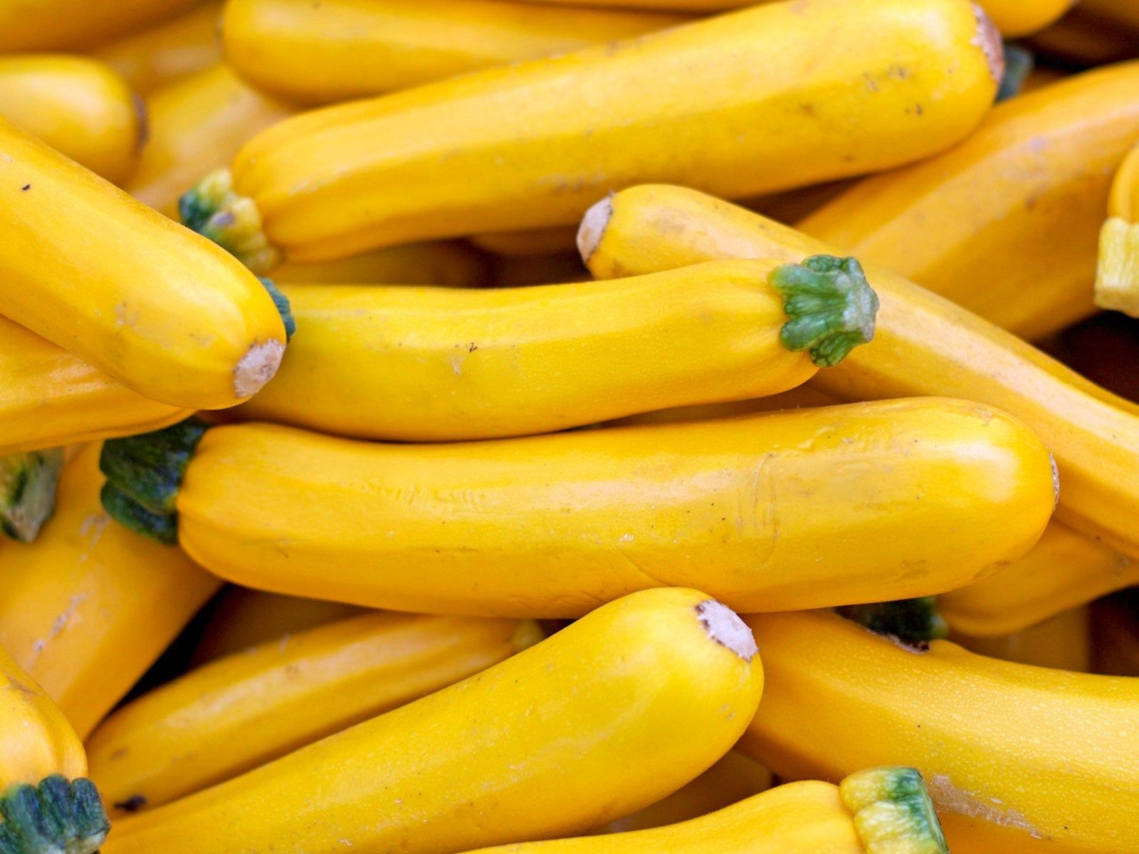 Pile of sunny-skinned Cube of Butter squash harvested from the garden