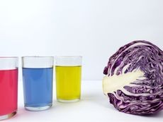 Red cabbage half next to glasses of liquid showing color changes from a pH test.