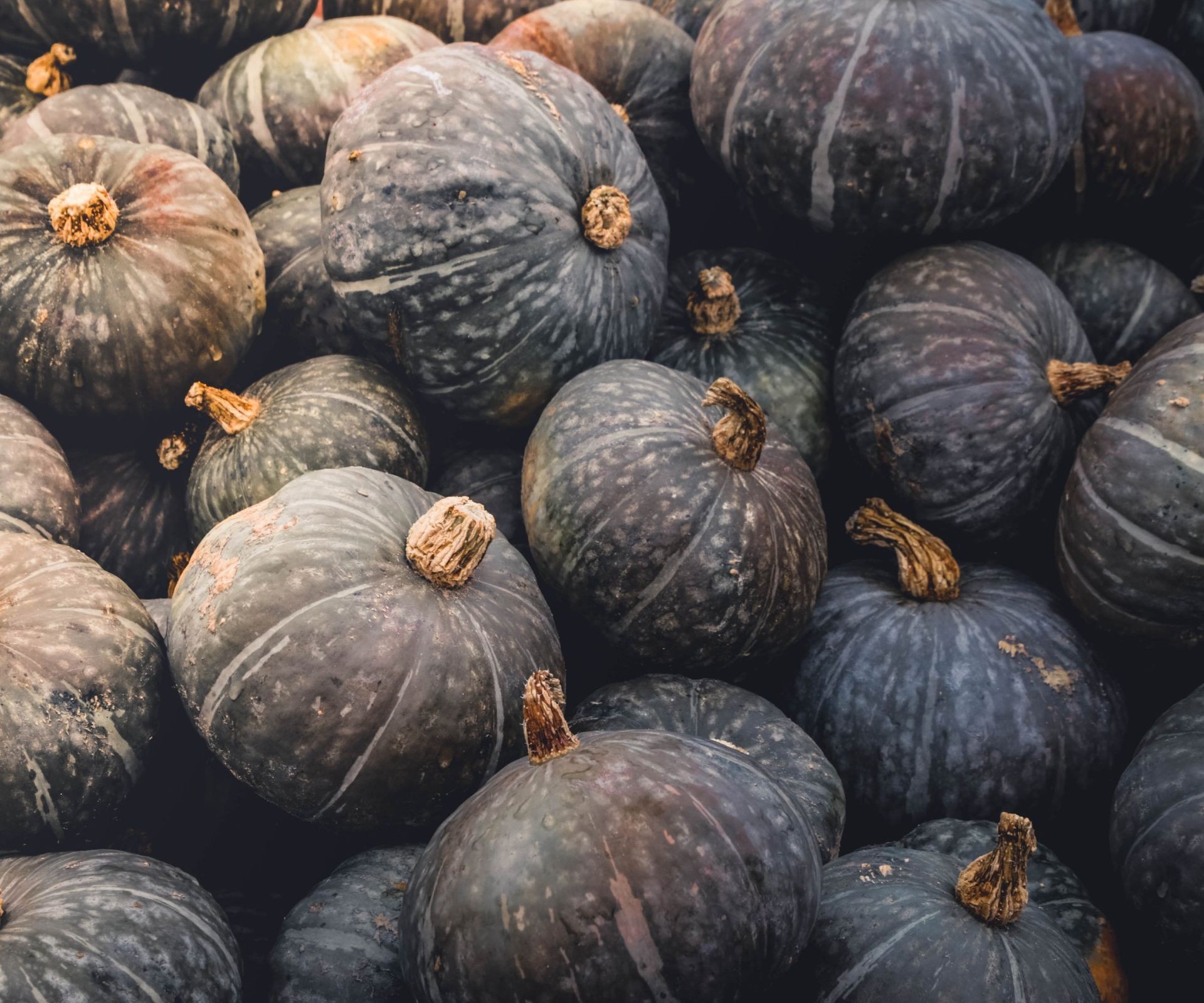 Stack of blue-gray blue hokkaido squash