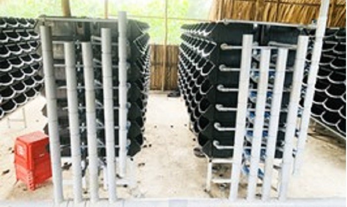 Stacked plastic boxes and pipes in a recirculating aquaculture system for farming soft-shell crabs