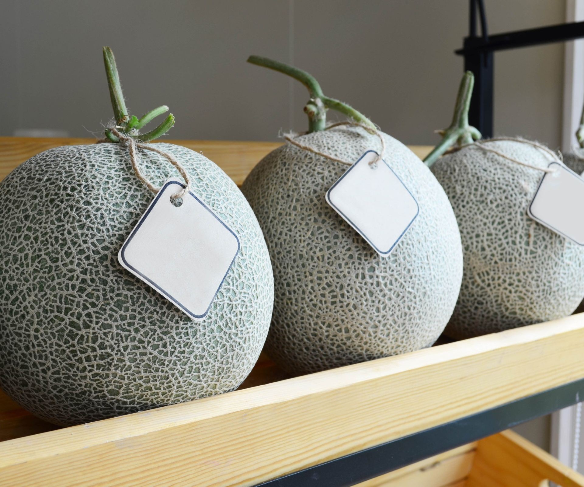 Storing harvested cantaloupe melons on a shelf at cool temperature