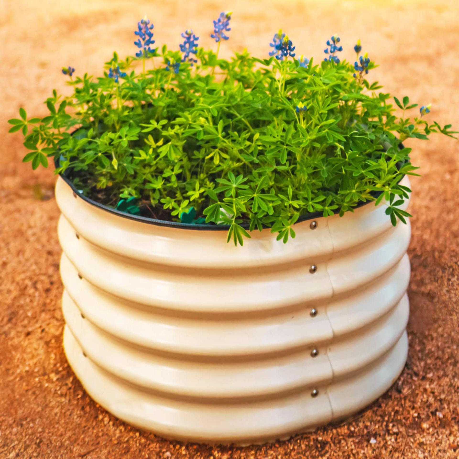 Tall metal raised garden beds designed for growing herbs on a patio.