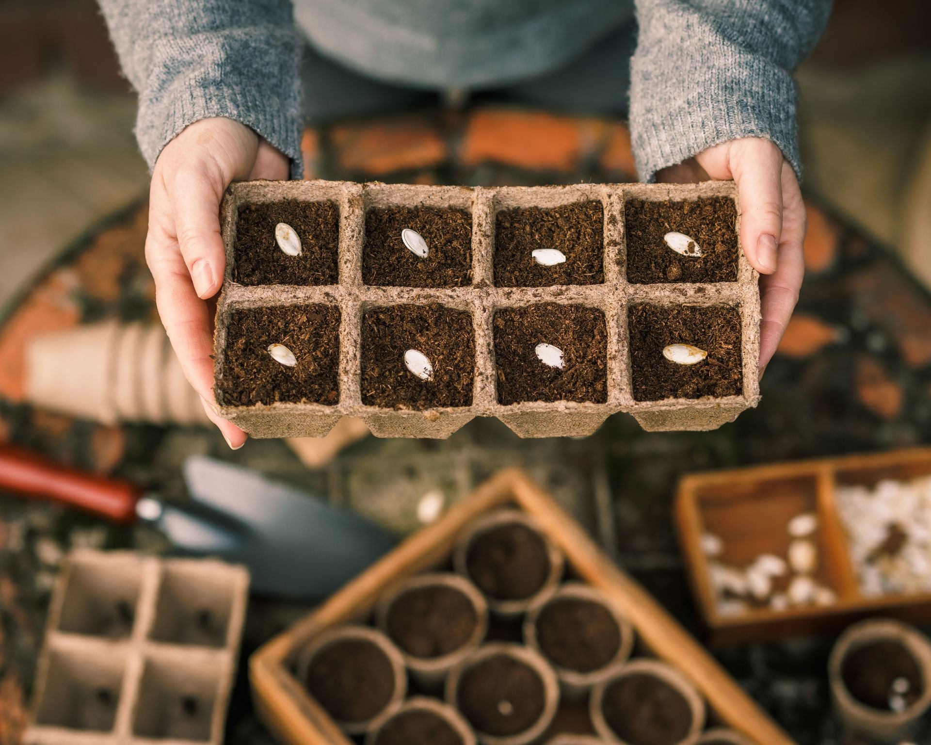 Woman planting pumpkin seeds in a seed starting tray indoors